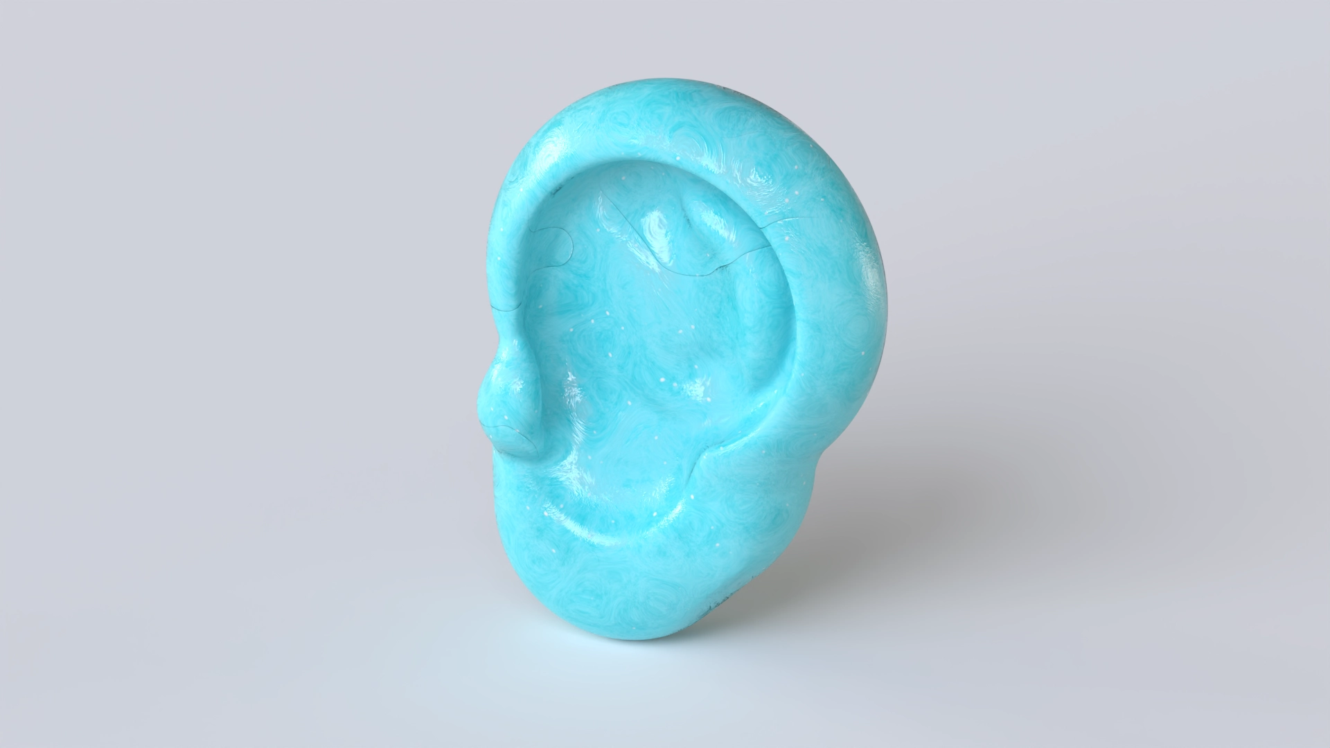 Ears 1, a 3D model on Womp