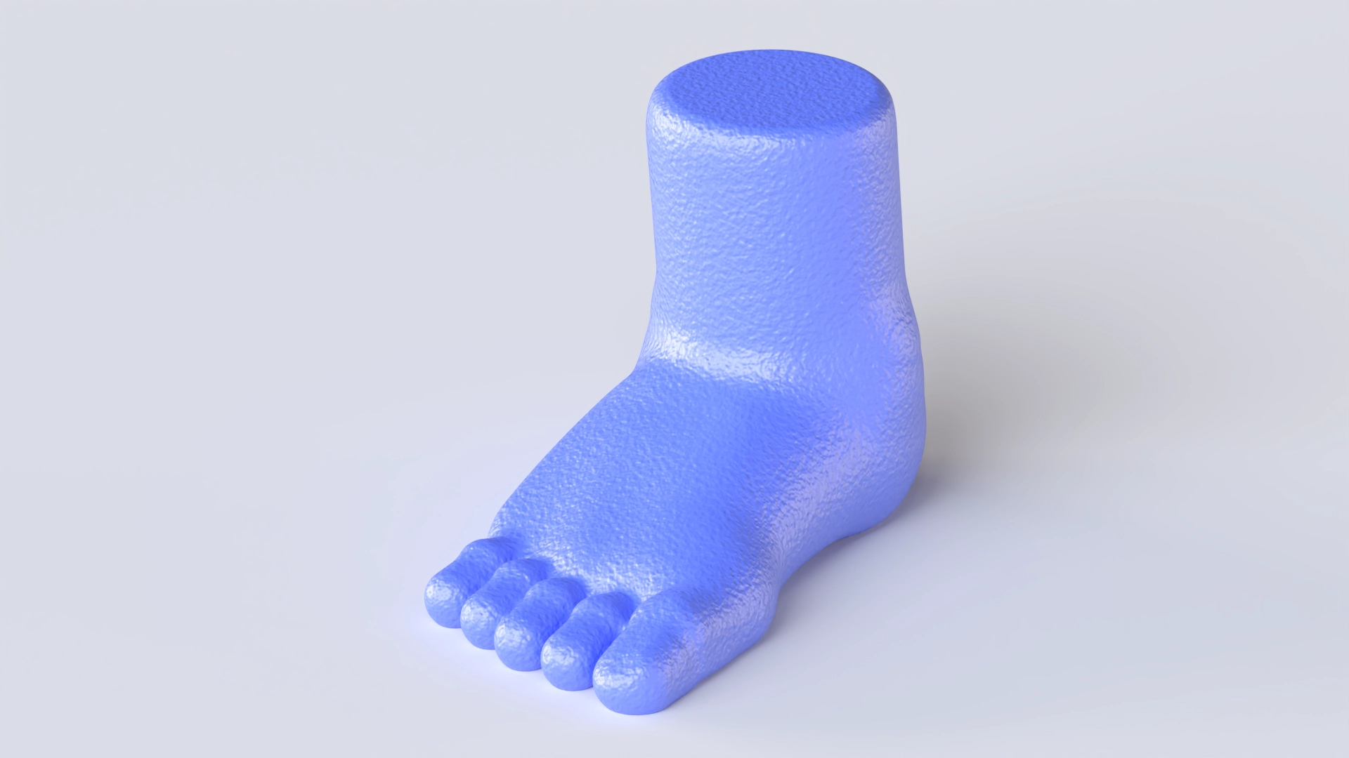 Feet, a 3D model on Womp