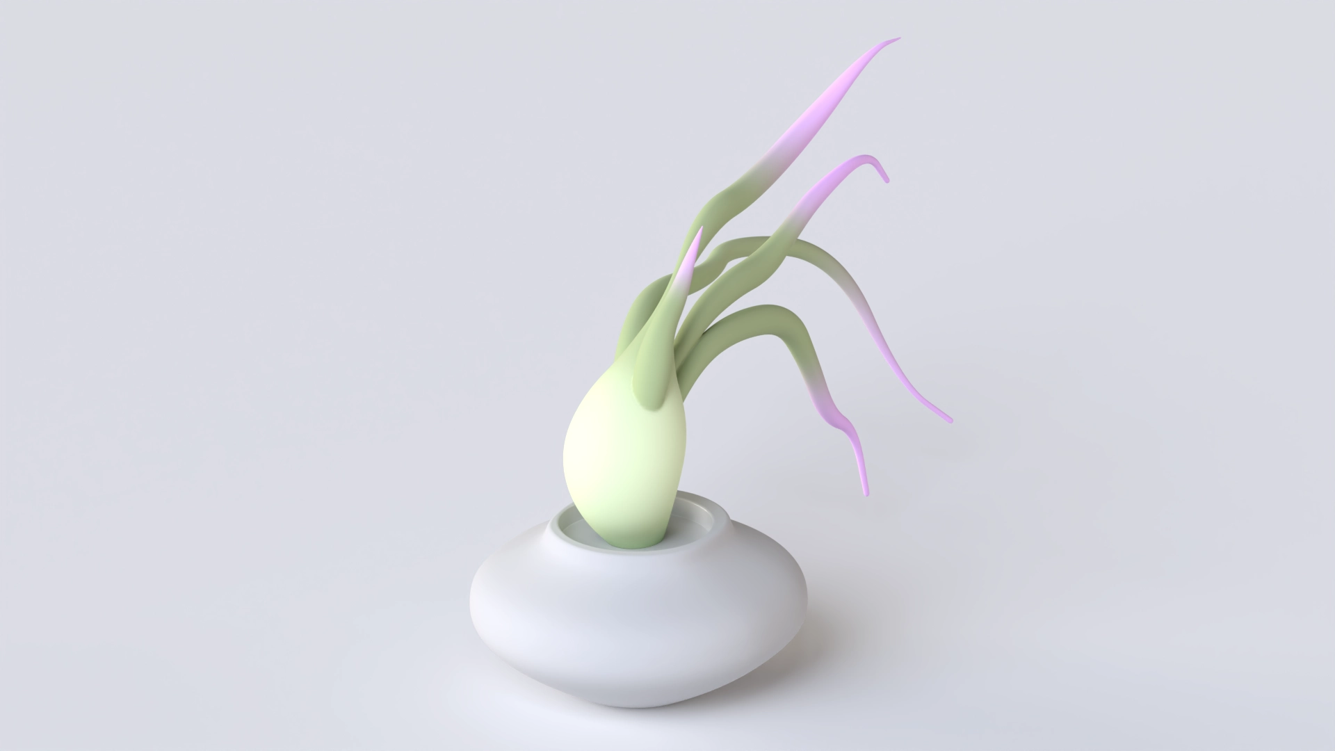 Meudsa Plant, a 3D model on Womp