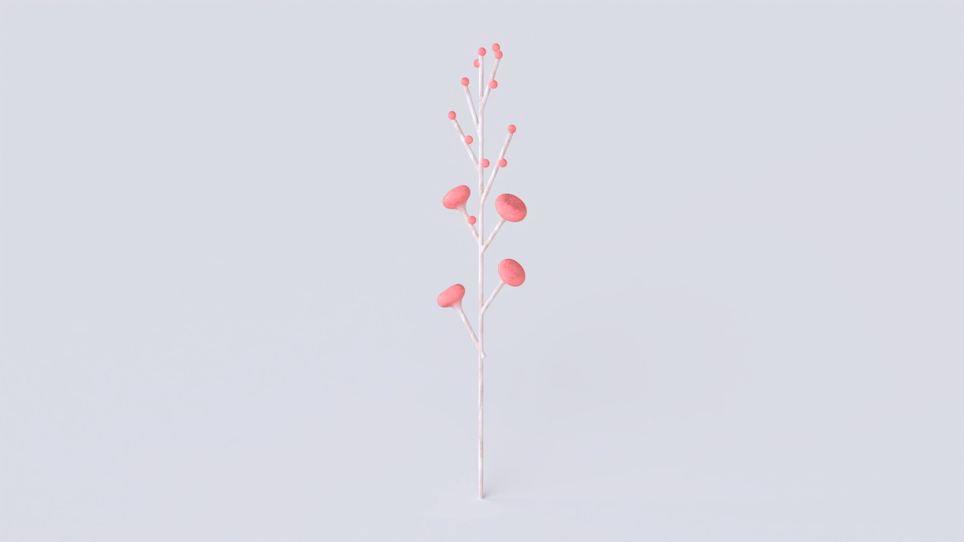 Plant 17, a 3D model on Womp