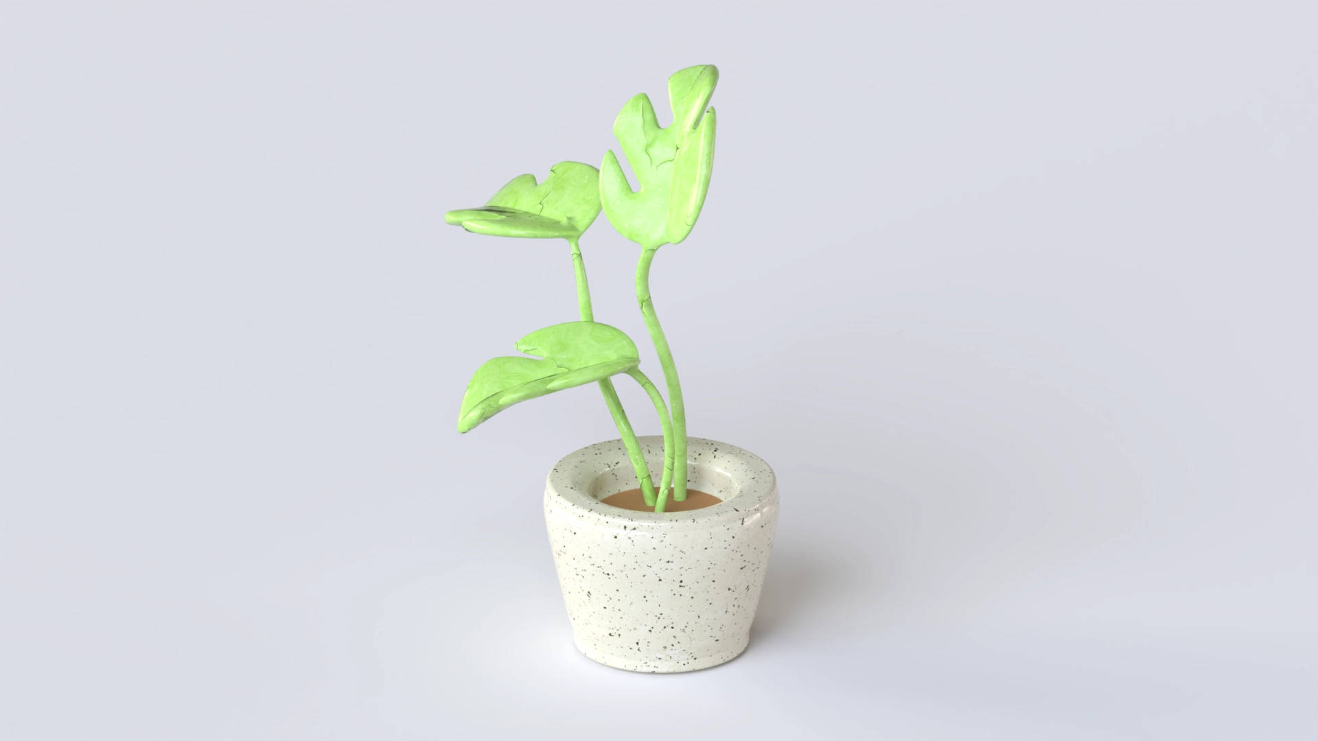 Plant 22, a 3D model on Womp