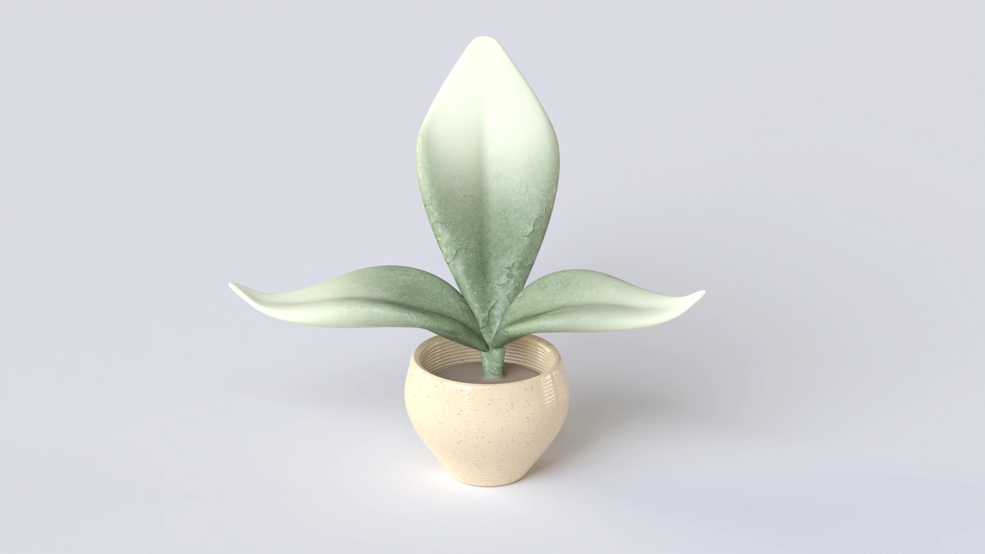 Plant 8, a 3D model on Womp