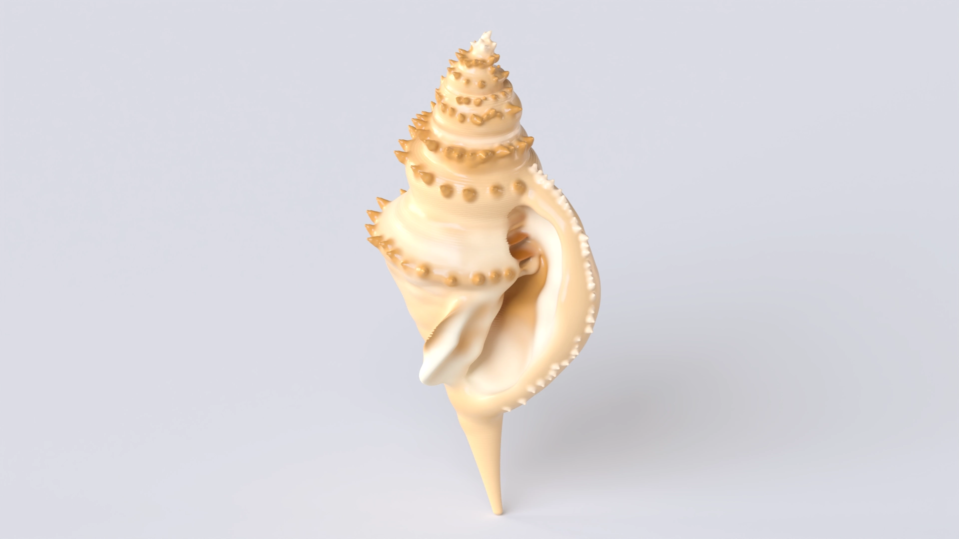 Shell 2, a 3D model on Womp