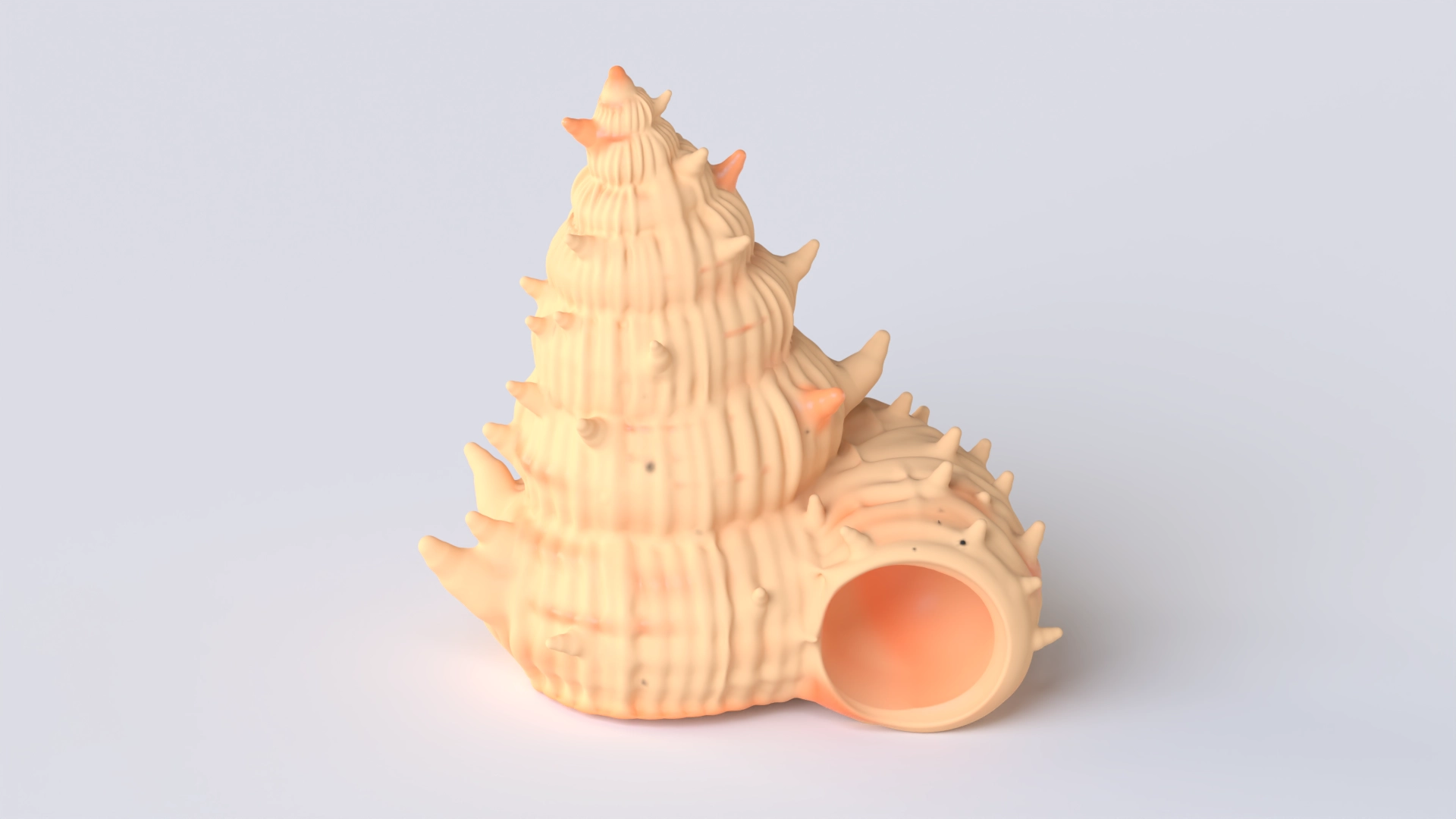Shell 3, a 3D model on Womp