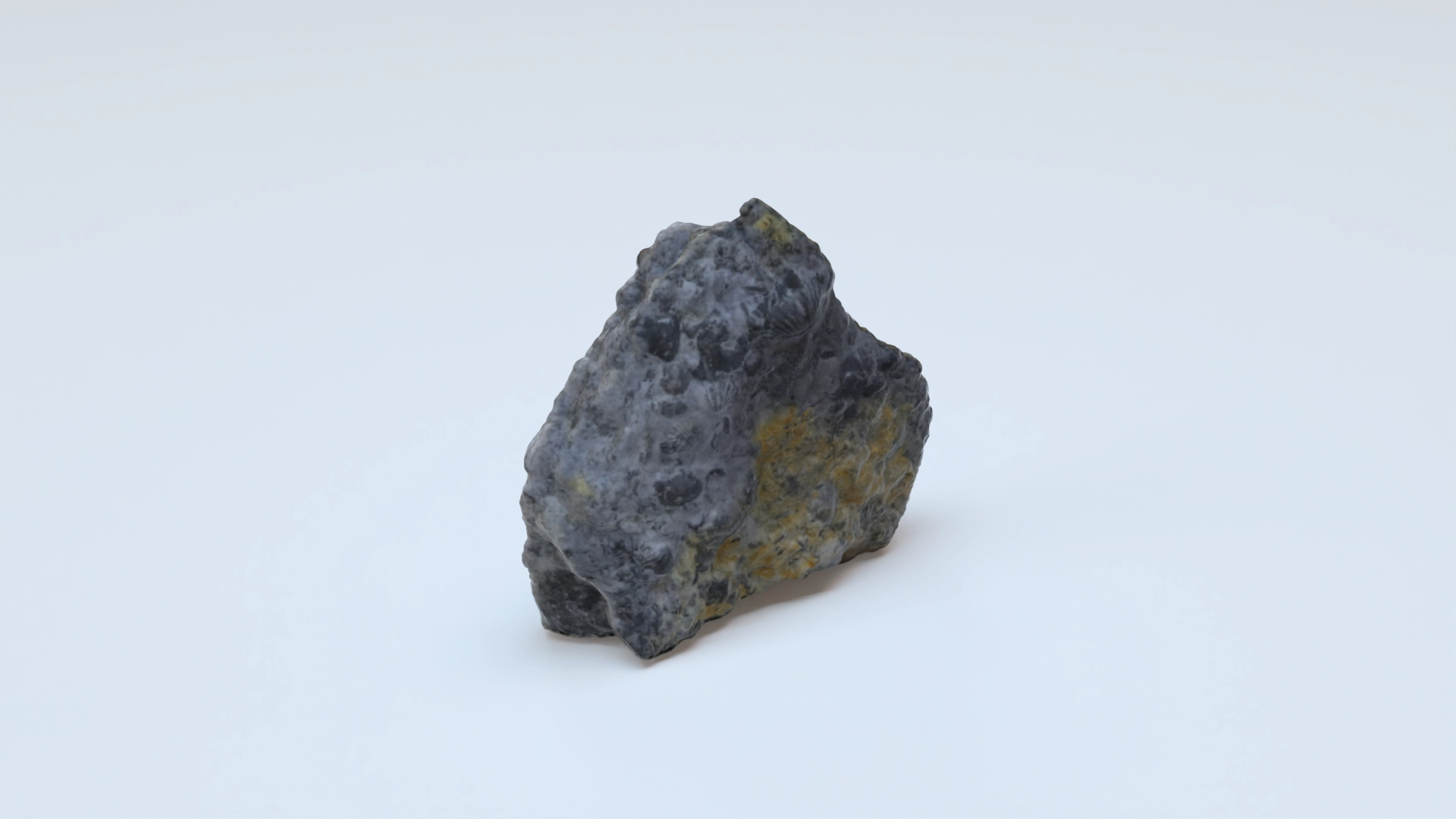 Sponges hindia pri XXXXX, a 3D model on Womp
