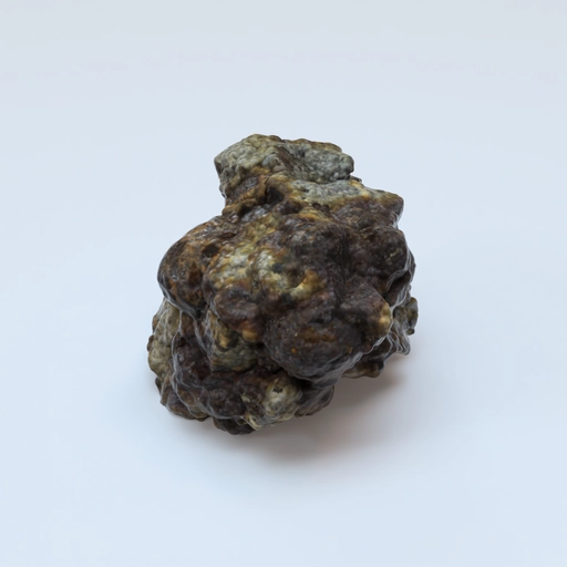 Antarctic meteorite sample MIL 07411,0 3D model