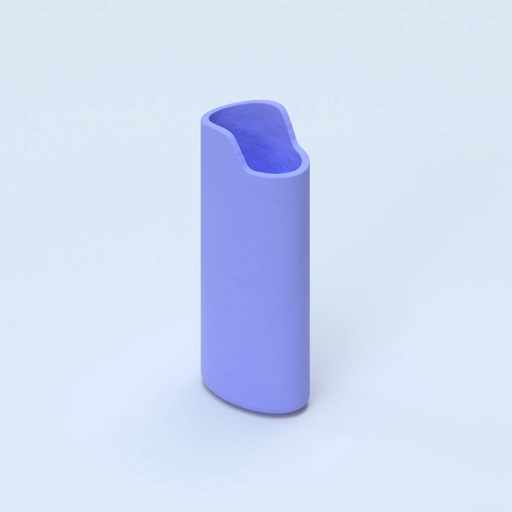 BiC Maxi case 3D model