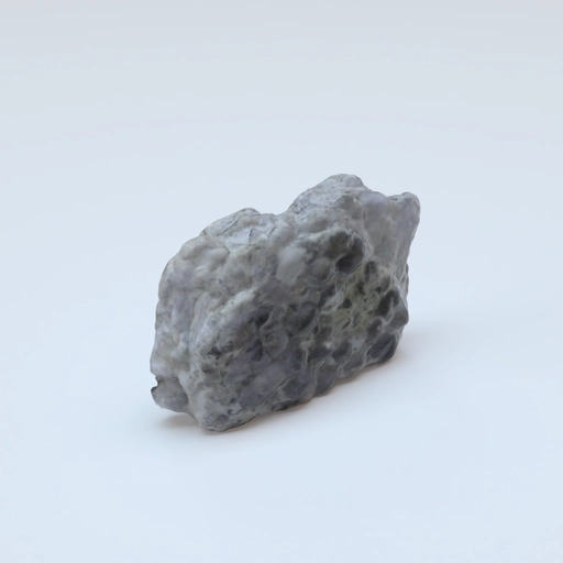 Brachiopods cincinnetina meeki pri_76860 3D model