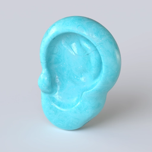 Ears 1 3D model