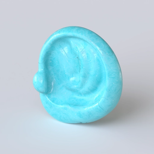 Ears 5 3D model