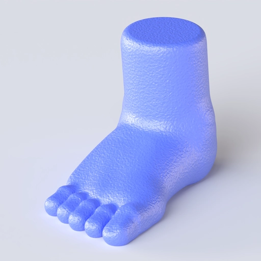 Feet 3D model