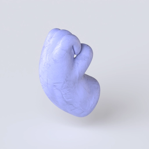 Hand 5 3D model