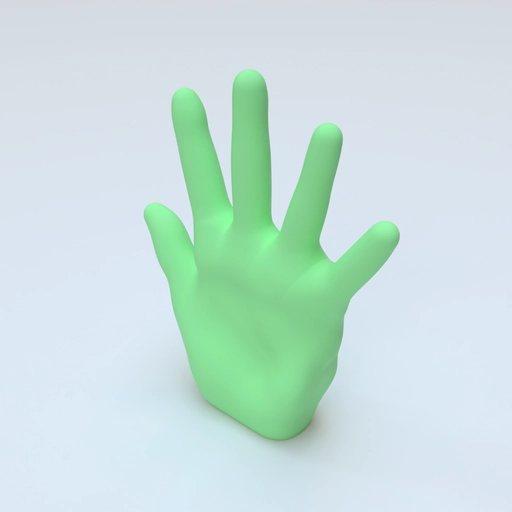 Hand Size 11,5 3D model