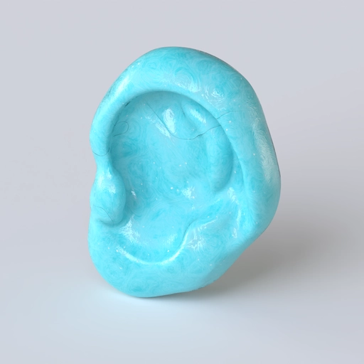 Hear 2 3D model
