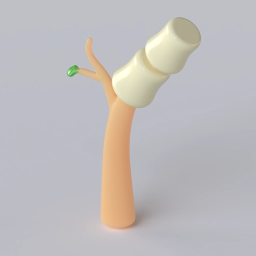 Marshmellow 3D model
