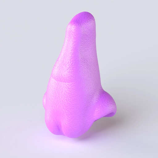 Nose 10 3D model