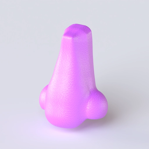 Nose 1 3D model