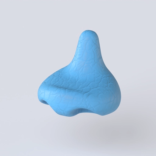 Nose 1 3D model