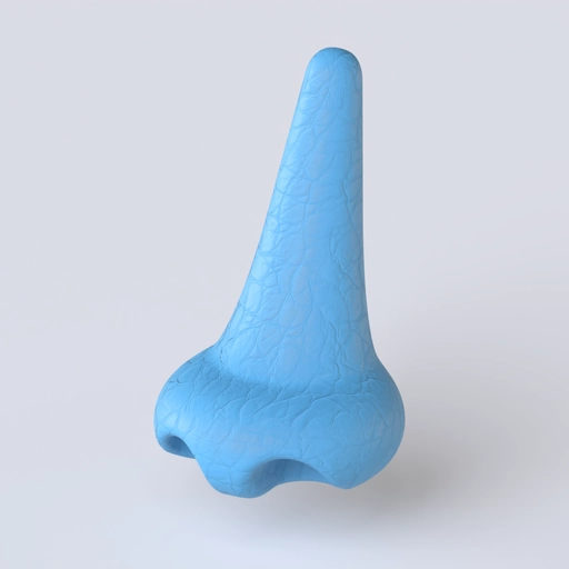 Nose 2 3D model