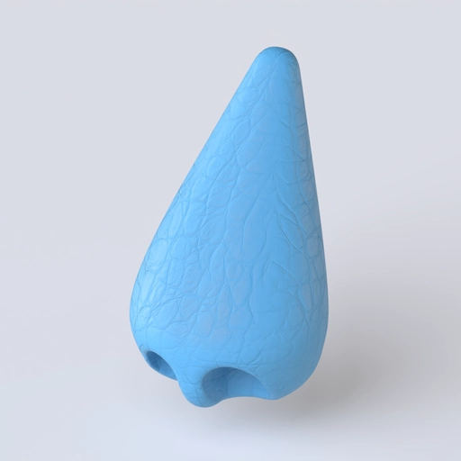 Nose 3 3D model