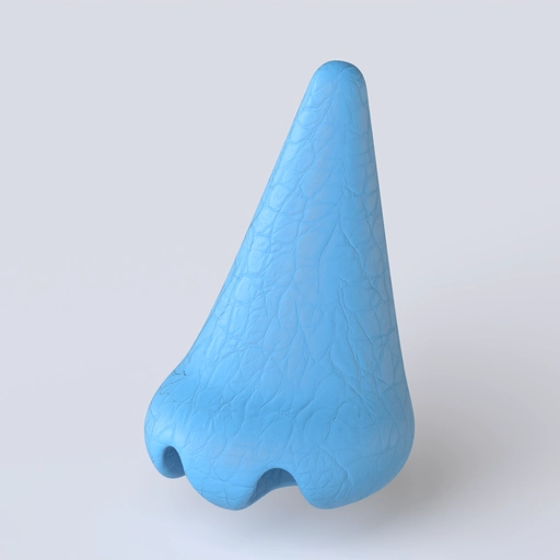 Nose 4 3D model
