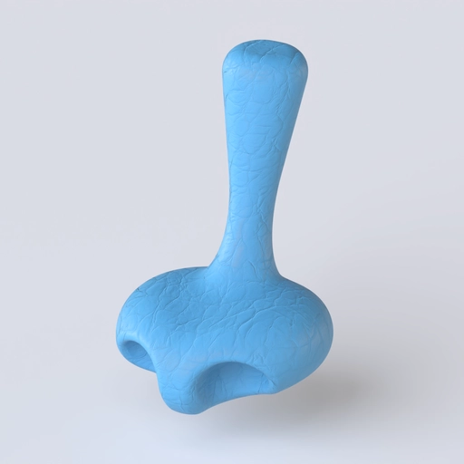 Nose 5 3D model