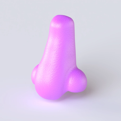 Nose 8 3D model