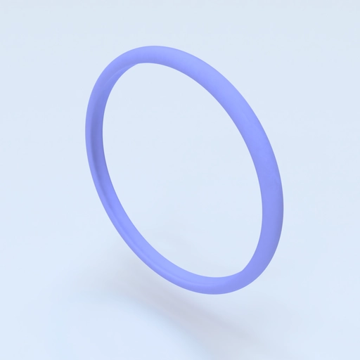 Ring Size 10.5 Template 3D model