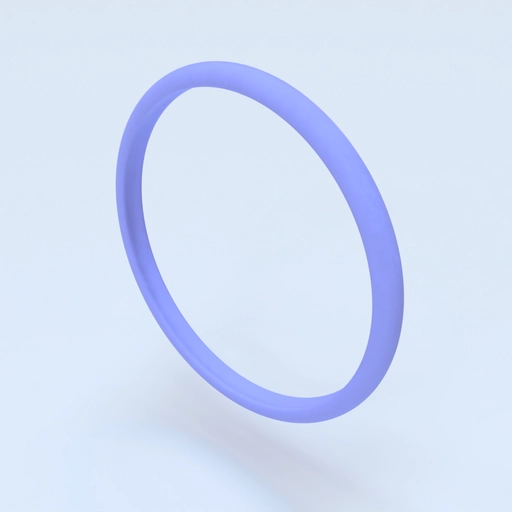 Ring Size 10 Template 3D model
