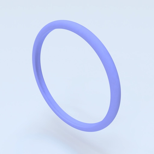 Ring Size 11 Template 3D model