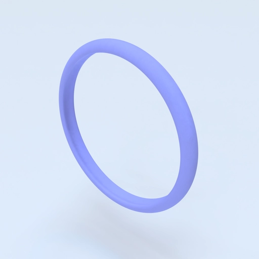 Ring Size 5 Template 3D model