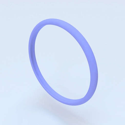 Ring Size 9.5 Template 3D model