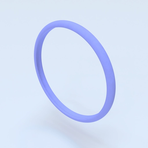 Ring Size 9 Template 3D model