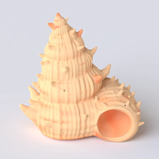 Shell 3 3D model