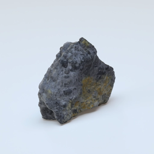 Sponges hindia pri XXXXX 3D model