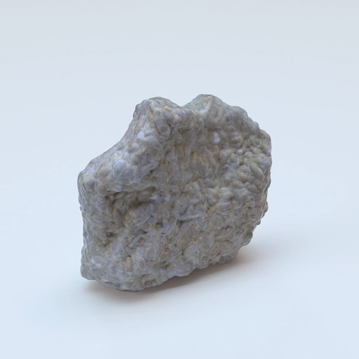 foraminifera fusulina pri 49886 3D model
