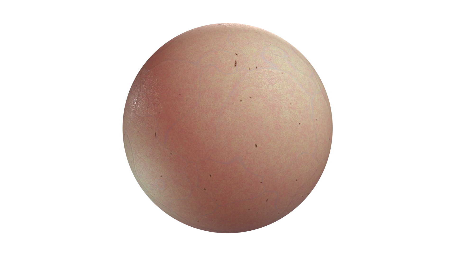 Human Skin, a 3D material on Womp